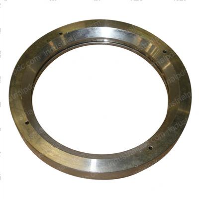 Picture of Seal - Race