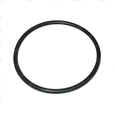 Picture of O-Ring