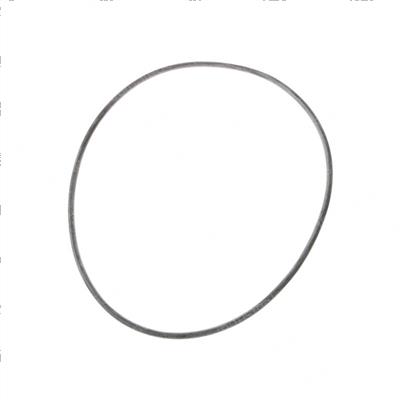 Picture of O-Ring