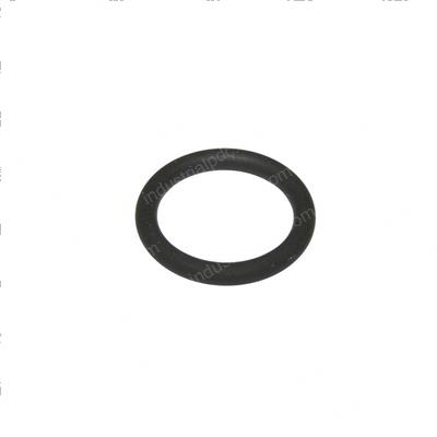 Picture of O-Ring