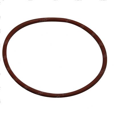 Picture of O-Ring