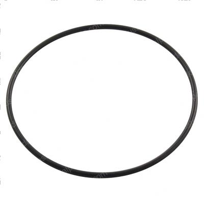 Picture of O-Ring