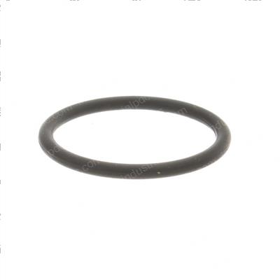 Picture of O-Ring