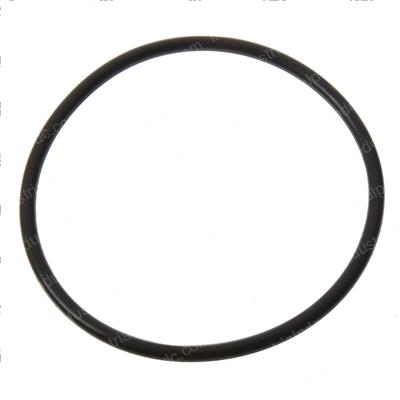 Picture of O-Ring