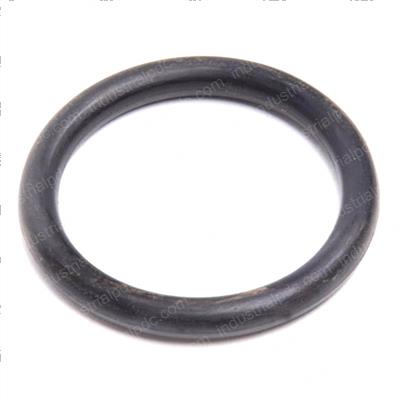Picture of O-Ring