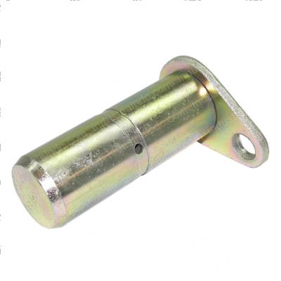 Picture of Pin Gp