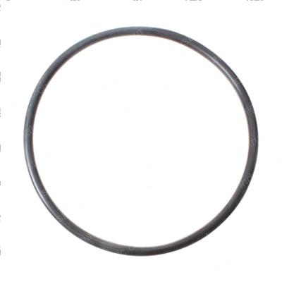 Picture of O-Ring
