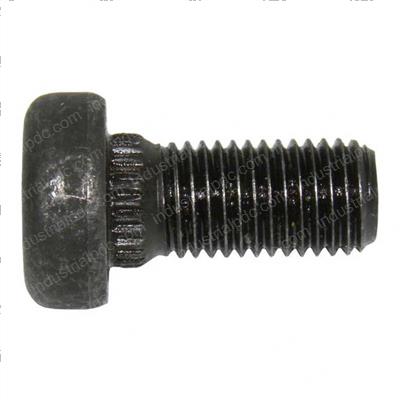 Picture of Bolt
