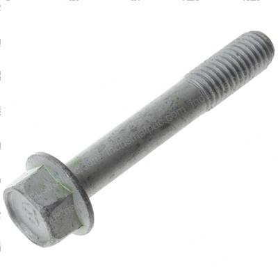 Picture of Bolt