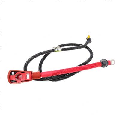 Picture of Cable-Safety