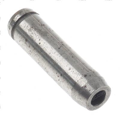 Picture of Guide-Inlet Valve