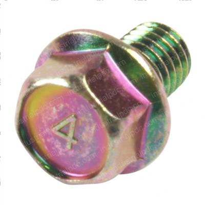Picture of Bolt