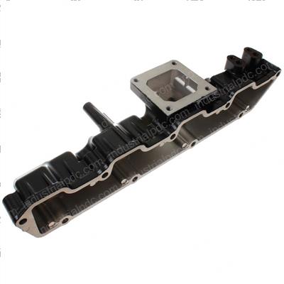 Picture of Manifold