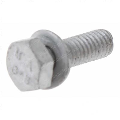 Picture of Bolt