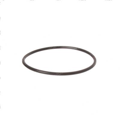 Picture of O-Ring