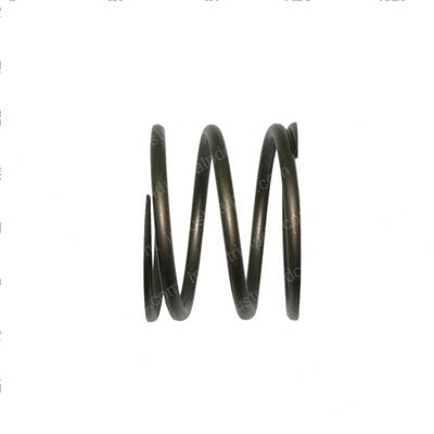 Picture of Spring + Retainer Assembly