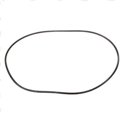 Picture of O-Ring