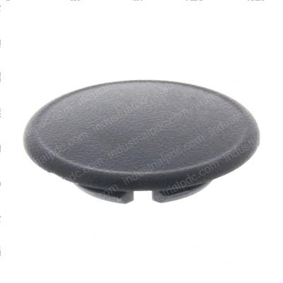 Picture of Plug