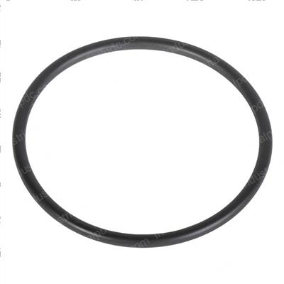 Picture of O-Ring
