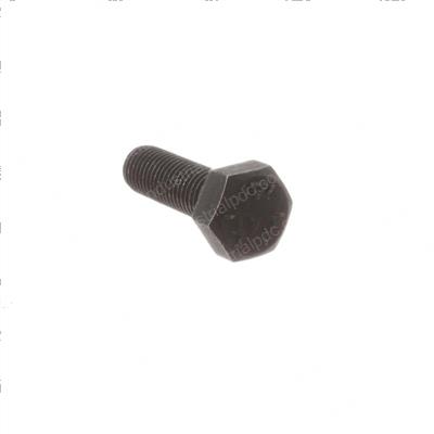 Picture of Bolt - Hex