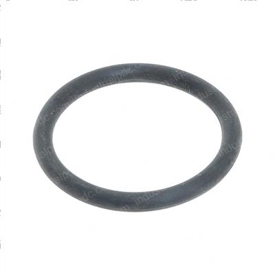 Picture of O-Ring