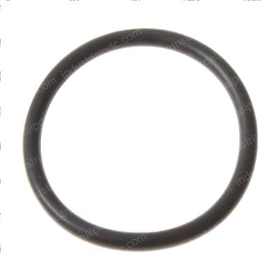 Picture of O-Ring