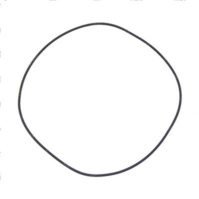 Picture of O-Ring 255x4