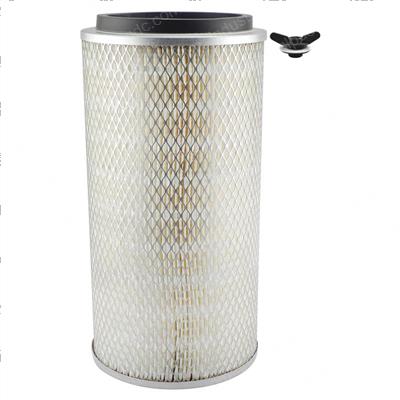 Picture of Filter - Air