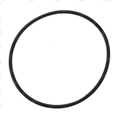 Picture of O-Ring