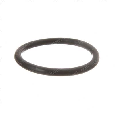 Picture of O-Ring