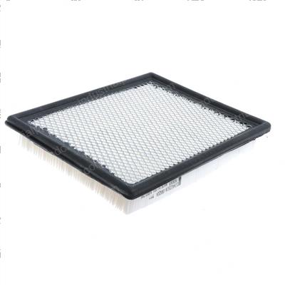 Picture of Filter - Panel