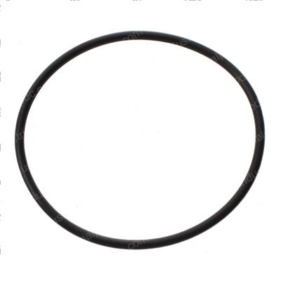 Picture of O-Ring