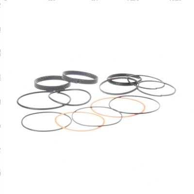 Picture of Seal Kit - Hydraulic Cylinder