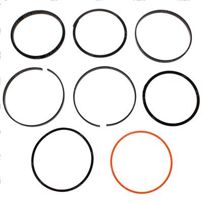 Picture of Seal Kit - Boom Cylinder