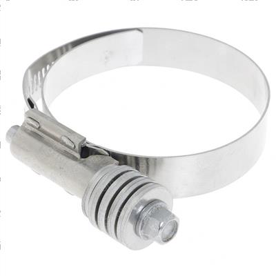 Picture of Constant-Torque Worm Clip