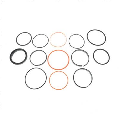 Picture of Seal Kit - Hydraulic Cylinder