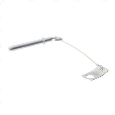 Picture of Pin + Lanyard Assembly