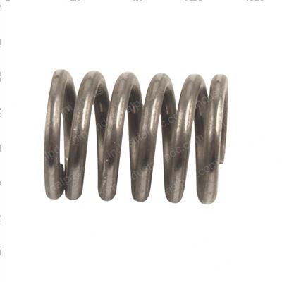 Picture of Spring - Back Valve