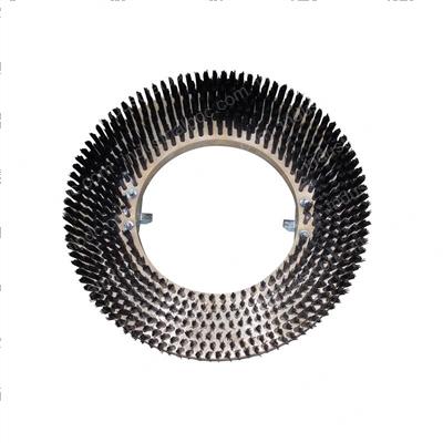 Picture of Brush 17 Inch