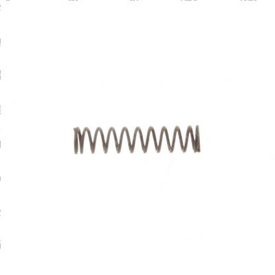 Picture of Spring - Horn