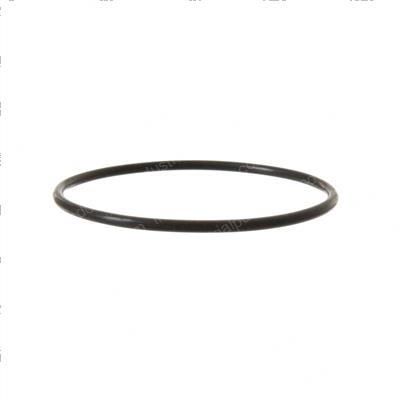 Picture of O-Ring