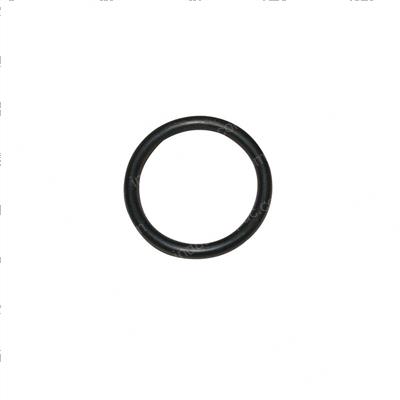 Picture of O-Ring