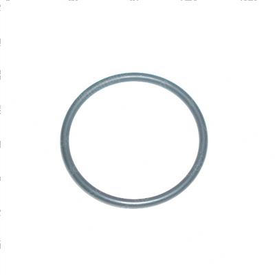 Picture of O-Ring