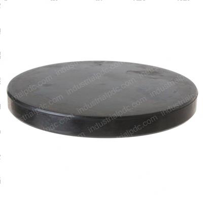 Picture of Seal