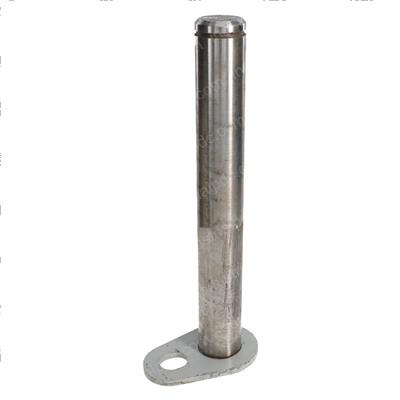 Picture of Pin