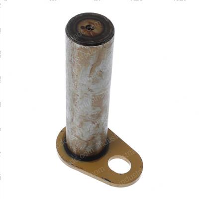 Picture of Pin