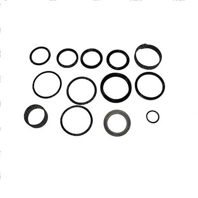 Picture of Seal Kit - Hydraulic Cylinder