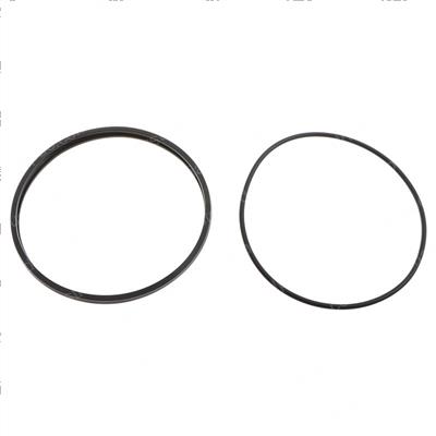 Picture of Seal - General