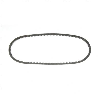 Picture of Belt