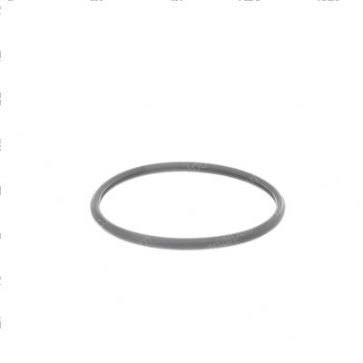 Picture of Seal - Thermostat